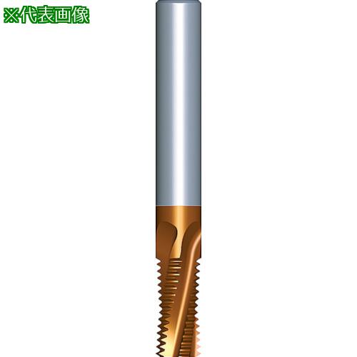 ■NOGA 超硬ソリッドミルスレッドBSP〔品番:1616D2811BSPTMT7〕【3043126:0】[店頭受取不可]