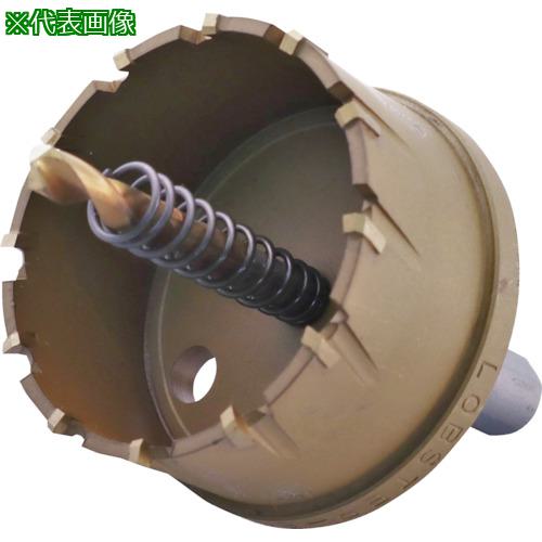 ■エビ 超硬ホルソー(チタンコーティング) 60mm〔品番:HO60G〕【3315100:0】[店頭受取不可]