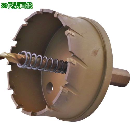 ■エビ 超硬ホルソー(チタンコーティング) 75mm〔品番:HO75G〕【3315134:0】[店頭受取不可]