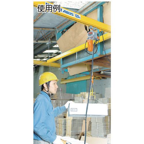 ■象印 ベータ型小型電気チェンブロック 定格荷重125KG 揚程6M (βS-012 6m)〔品番:BSK1260〕【3419223:0】[店頭受取不可]_3