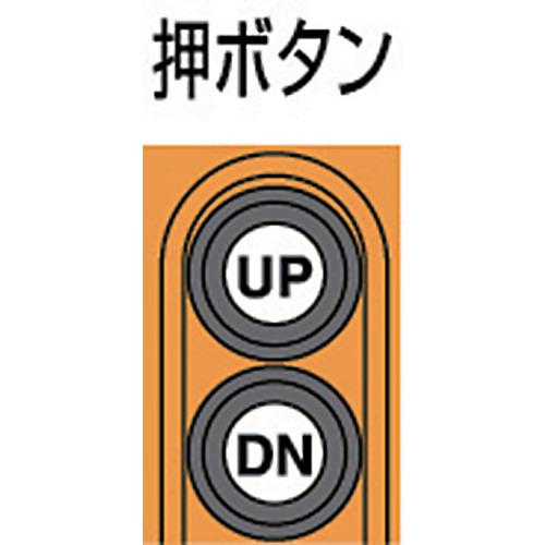 ■象印 ベータ型小型電気チェンブロック 定格荷重125KG 揚程6M (βS-012 6m)〔品番:BSK1260〕【3419223:0】[店頭受取不可]_1
