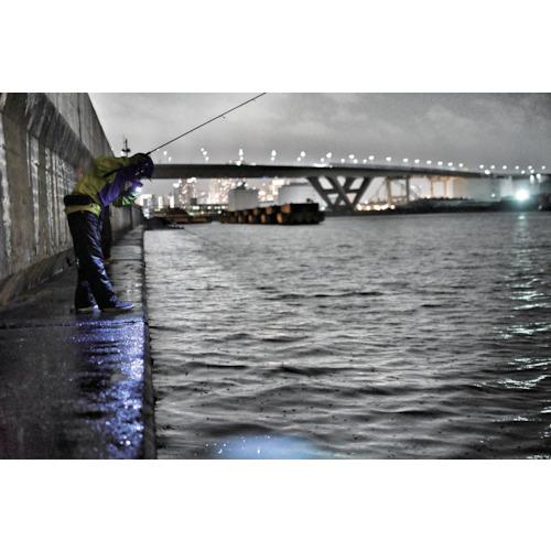 専用　購入不可 中古 FANUC Interface Module A03B-0819-C002/A0D16D/AID16D*3