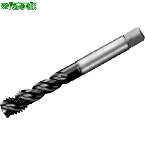 ■SANDVIK コロタップ300 スパイラルタップ(780) P1PM〔品番:T300PM101JAM24〕【3518271:0】[店頭受取不可]