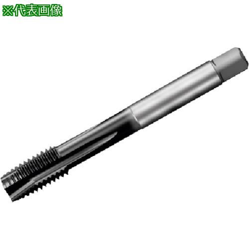 ■SANDVIK コロタップ200 ポイントタップ(780) P1PM〔品番:T200PM101JBM12X100〕【3518273:0】[店頭受取不可]