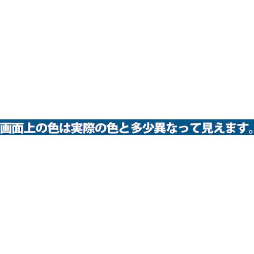■KANSAI カンペ 油性トタン用3Lスカイブルー〔品番:1305993〕【3610764:0】[店頭受取不可]_1