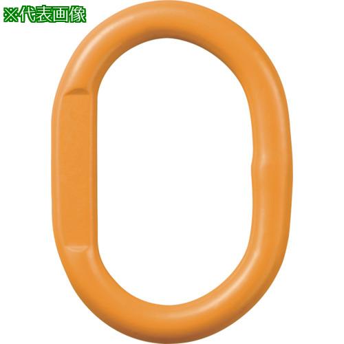 ■KITO チェンスリング カナグ部材(アイタイプ) マスターリンクHMM 基本使用荷重8.0t〔品番:HMM1613〕【3675551:0】[店頭受取不可] 7,039円