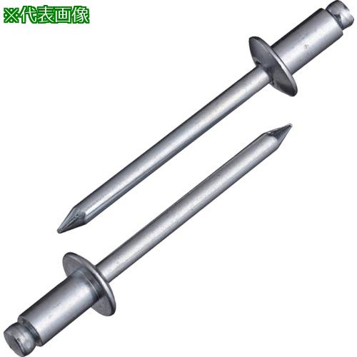 ■エビ ブラインドリベット(スティール/スティール製) 8-6(500本入) 箱入〔品番:NS86〕【3723895:0】[店頭受取不可] 18,563円