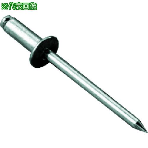 ■エビ ブラインドリベット アルミ/スティール 5-12 (1000本入)〔品番:NSA512〕【3724051:0】[店頭受取不可]