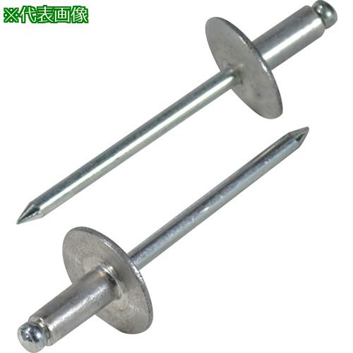■エビ ブラインドリベット・ラージフランジ アルミ/スティール5-4 (1000本入)〔品番:NSA54LF〕【3724166:0】[店頭受取不可]