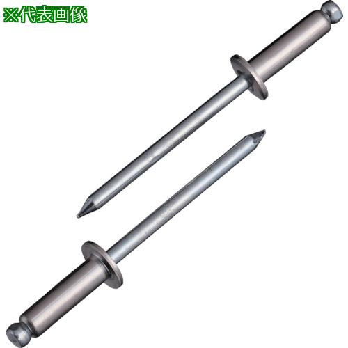 ■エビ ブラインドリベット(ステンレス/スティール製) 8-8(500本入) 箱入〔品番:NSS88〕【3725197:0】[店頭受取不可]