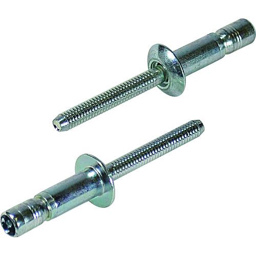 ■エビ 高強度ブラインドリベット Sボルト(丸頭) Φ6.4/板厚9.5mm (250本入)〔品番:SNS64095〕【3726126:0】[店頭受取不可]