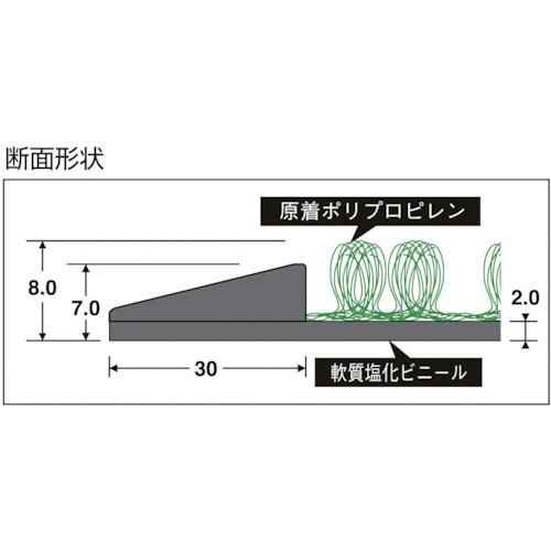 ■テラモト 除菌マットテラシック〔品番:MR1205421〕【3757561:0】[直送DS][店頭受取不可]_2