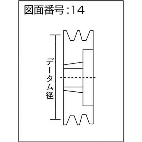 ■EVN ブッシングプーリー SPB 300mm 溝数3〔品番:SPB3003〕【3806596:0】[店頭受取不可]