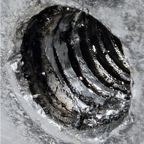 ■VOELKEL インサートねじキット(タングレス) M10×1.5mm〔品番:09015〕【3810851:0】[店頭受取不可]_6