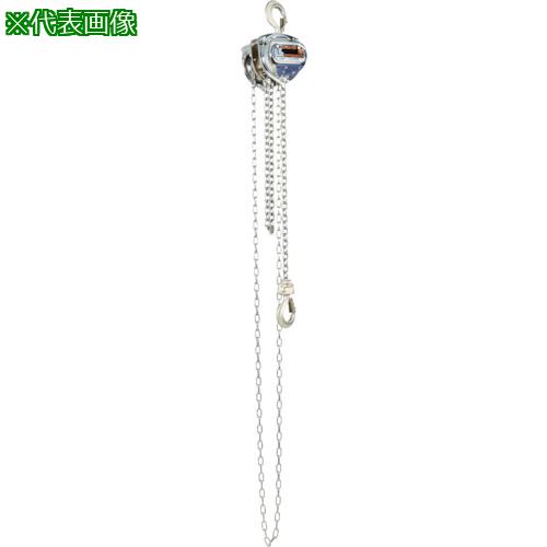 ■象印 スーパー100(メッキ仕様、SUSチェーン)・250kg・2.5m〔品番:PIHK2525〕【3870880:0】[店頭受取不可]