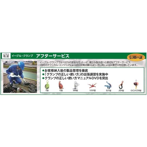 ■EAGLE 縦つり用軽さクランプ E-350kg(2-16)〔品番:E350216〕【3940578:0】[店先受け取り証書不可]