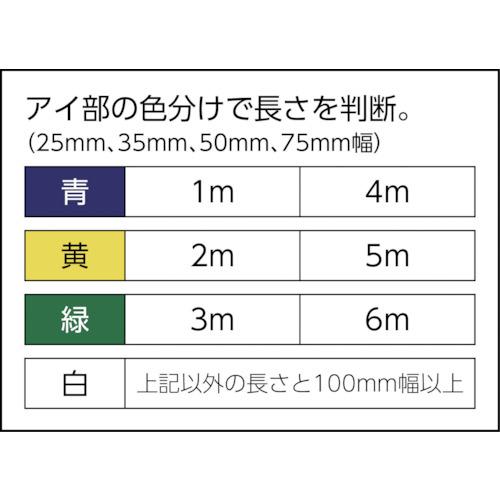 ■田村 ベルトスリング Zタイプ 4E 100×4.0〔品番:ZE1000400〕【4112954:0】[店頭受取不可]_2