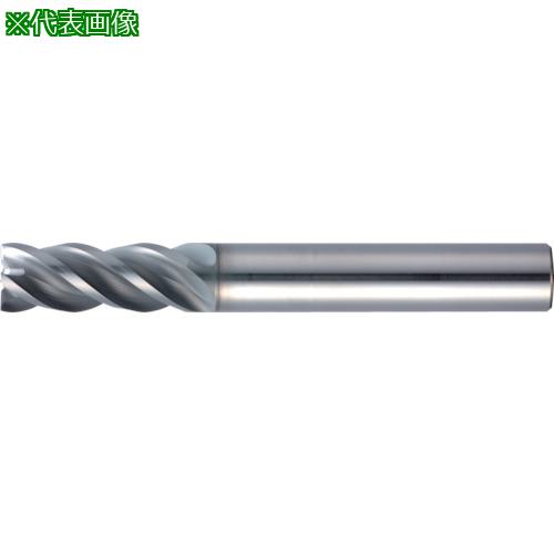 ■MOLDINO エポックSUSマルチEPSM4120-PN〔品番:EPSM4120PN〕【4242807:0】[店頭受取不可]