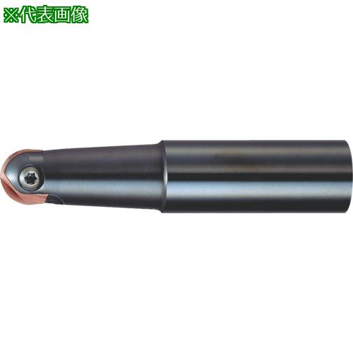■MOLDINO フライス工具 アルファ ボールプレシジョンF ABPF10S12〔品番:ABPF10S12〕【4279522:0】[店頭受取不可]