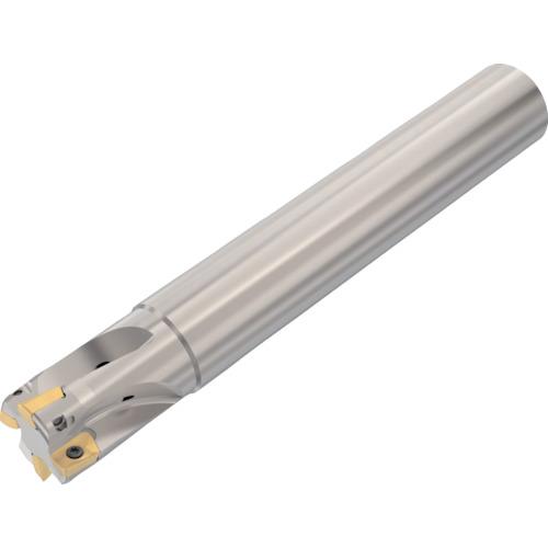 ■セコ フライス  ターボ粉砕機 裁断師〔品番:R217.692525.0104A〕【4282129:0】[店先受け取り証書不可]