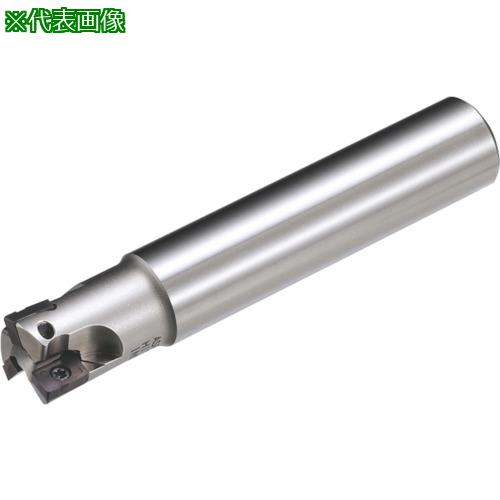 ■MOLDINO アルファ ポリッシュミルVタイプ ASPVS2032R-5〔品番:ASPVS2032R5〕【4282302:0】[店頭受取不可]