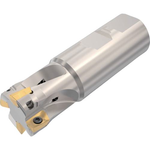 ■セコ フライス ターボミル カッター〔品番:R217.693232.3124AN〕【4297624:0】[店頭受取不可]