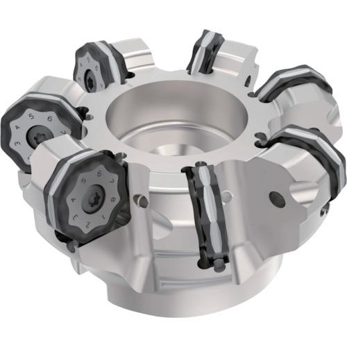 ■セコ フライス ダブルオクトミル R220.48ー09 カッター〔品番:R220.4800800906SA〕【4297719:0】[店頭受取不可]