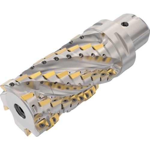 ■【在庫限り】セコ フライス  ターボミル カッター〔品番:C6R217.6906310712.5SAN〕【4299200:0】[店頭受取不可]