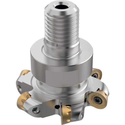 中国文玩 和田黄玉「元宝童子」62mm 中国文玩 和田黄玉「元宝童子