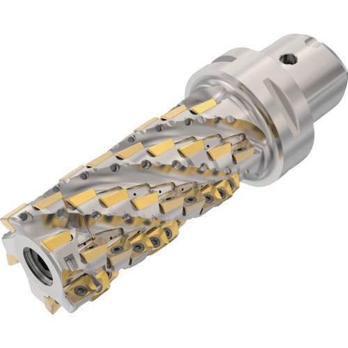 ■【在庫限り】セコ フライス  ターボミル カッター〔品番:C6R217.6905010612.5SAN〕【4301847:0】[店頭受取不可]