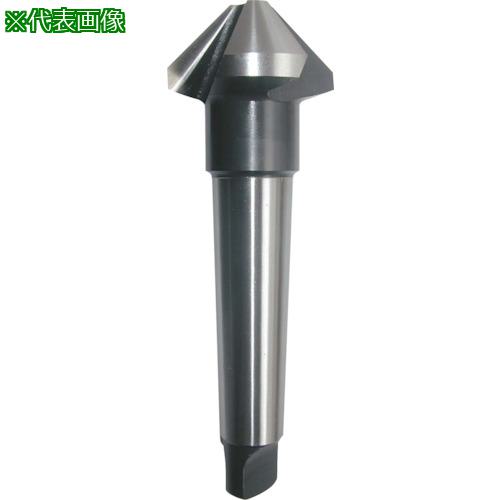 ■WEBA カウンターシンク No.19090-0-MT 90°HSS MTシャンク φ20.5〔品番:19090020.5MT〕【4307827:0】[店頭受取不可]