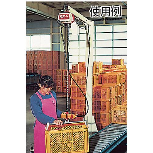 ■KITO 電気チェーンブロック キトーセレクト 1速形 480kg×3m〔品番:ED48S〕【4579500:0】[店頭受取不可]_3