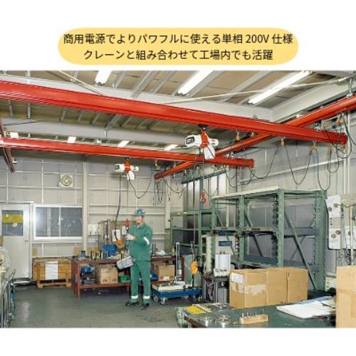 ■KITO 電気チェーンブロック EDX形 キトーセレクト 定格荷重100kg 揚程3m 単相200V 1速形【選べる定格荷重】 EDX10S 〔品番:EDX10S〕【4579569:0】[店頭受取不可]_2
