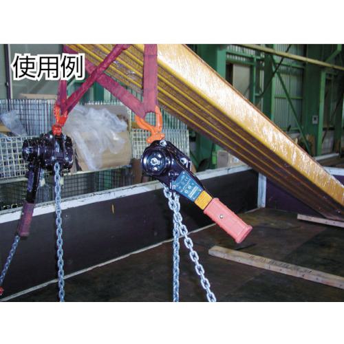■象印 YA型チェーンレバーホイスト 6t(YA-630)〔品番:YA06315〕【4608305:0】[店頭受取不可]_1