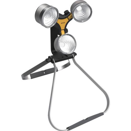 ■RITEX LED×3灯 スーパーワークライト〔品番:WT1000〕【4691563:0】[店頭受取不可]
