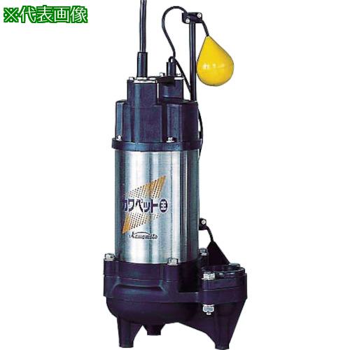 （株）川本製作所 川本　排水用樹脂製水中ポンプ（汚水用）　0．25ｋｗ　全揚程9．5ｍ WUP34060.25TG (4784979)