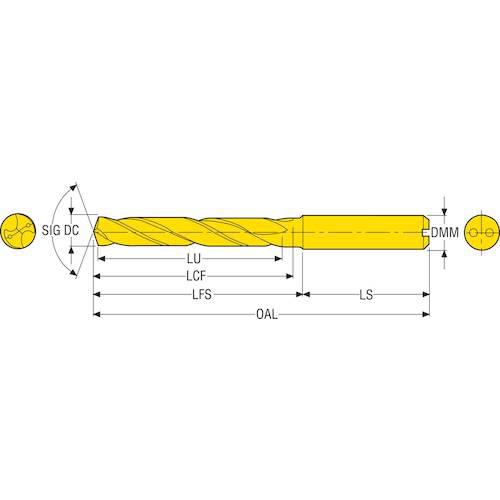 サンドビック　コロドリル８６０−ＰＭ　超硬ソリッドドリル（７２０）　Ｐ１ＢＭ ( 860.1-0650-055A1-PM P1BM ) ( WBU89 ) サンドビック コロドリル860-PM 超硬ソリッドドリル(720) P1BM □▽456