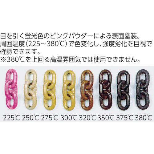 ■RUD パワーポイントスター マスターリンクセット PP-B M16〔品番:PPBM16〕【4874366:0】[店頭受取不可]_1
