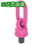 ■RUD バリオリング VWBG-M48〔品番:VWBGM48〕【4874781:0】[店頭受取不可]