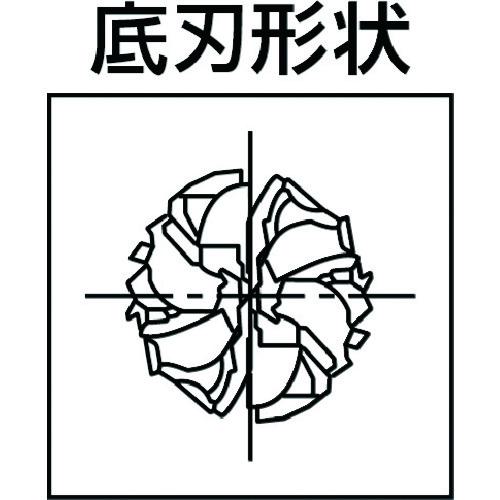 57196218_2