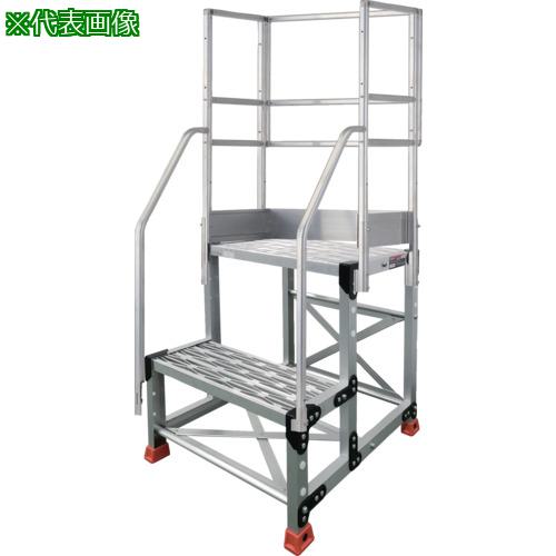 Bad Cat Double Drive ギターエフェクター【箱アリ美品】 ギター