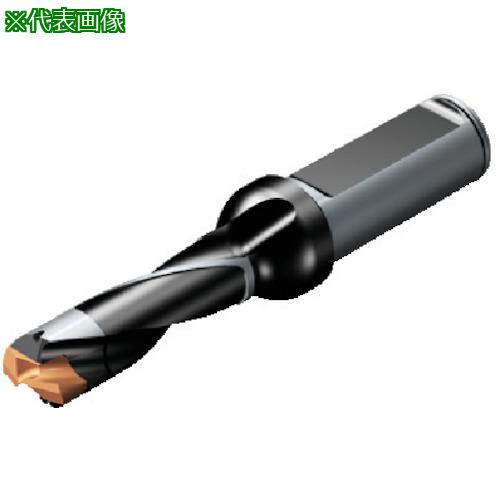 ■SANDVIK コロドリル870 ヘッド交換式ドリル(446)〔品番:870170017L205〕【5655811:0】[店頭受取不可]
