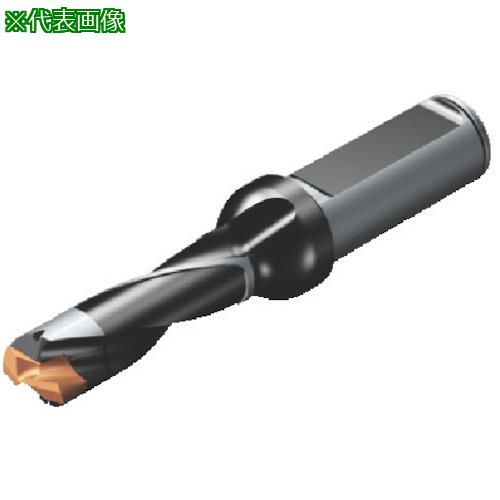 ■SANDVIK コロドリル870 ヘッド交換式ドリル(446)〔品番:870310031L323〕【5658560:0】[店頭受取不可]