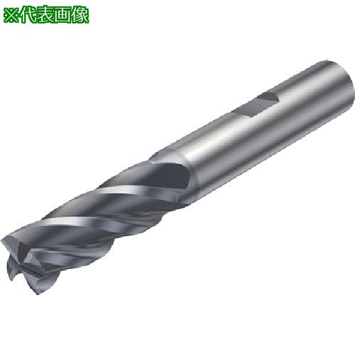 ■SANDVIK コロミルCoroMill[[R上]]Plura 重切削フライス加工用超硬エンドミル(730) P2BM〔品番:2P3420600PB〕【5809328:0】[店頭受取不可]