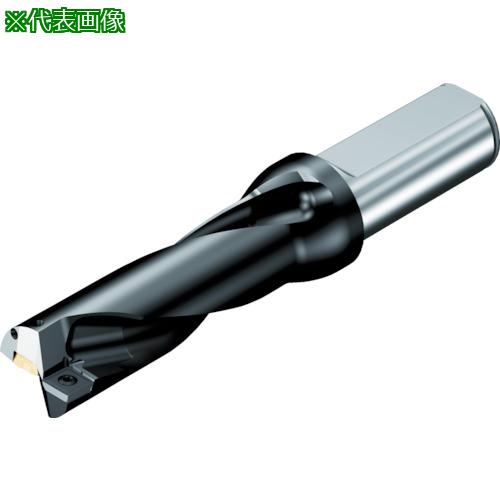 ■SANDVIK 刃先交換式ドリル スーパーUドリル(465)〔品番:880D2000L2505〕【6018441:0】[店頭受取不可]