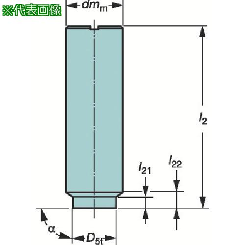 ■SANDVIK コロミルE筒シャンクホルダ(445)〔品番:E10A10SE100〕【6069428:0】[店頭受取不可]