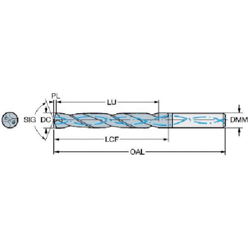 ■【在庫限り】SANDVIK コロドリル460 超硬ソリッドドリル(722) GC34〔品番:460.10890045A1XM〕【6085733:0】[店頭受取不可]
