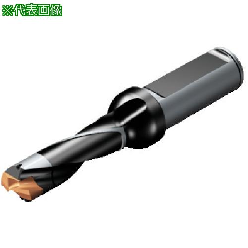 ■SANDVIK コロドリル870 ヘッド交換式ドリル(446)〔品番:870120010L163〕【6088961:0】[店頭受取不可]