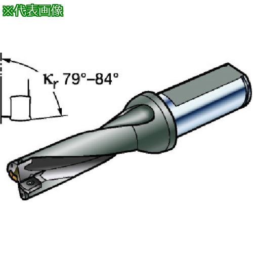 サンドビック コロドリルDS20刃先交換式ドリル(465) DS20-D2697DM32-04