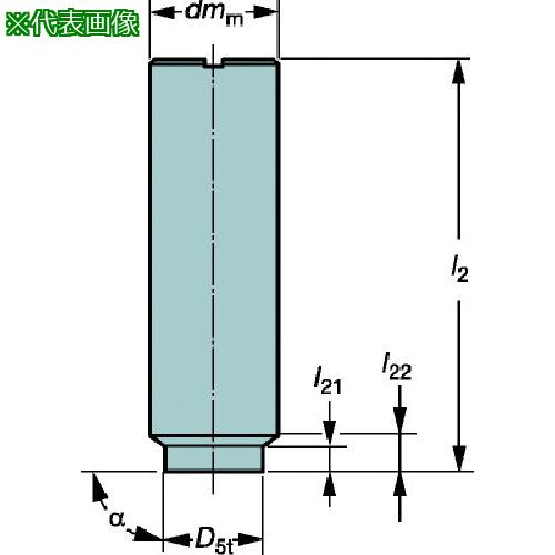 ■SANDVIK コロミル316 シャンクホルダ(445)〔品番:E12A12SE100〕【6097189:0】[店頭受取不可]